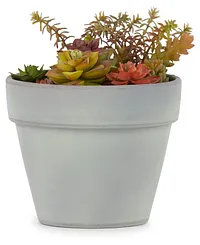 Rosette Multicolored Cement Succulent