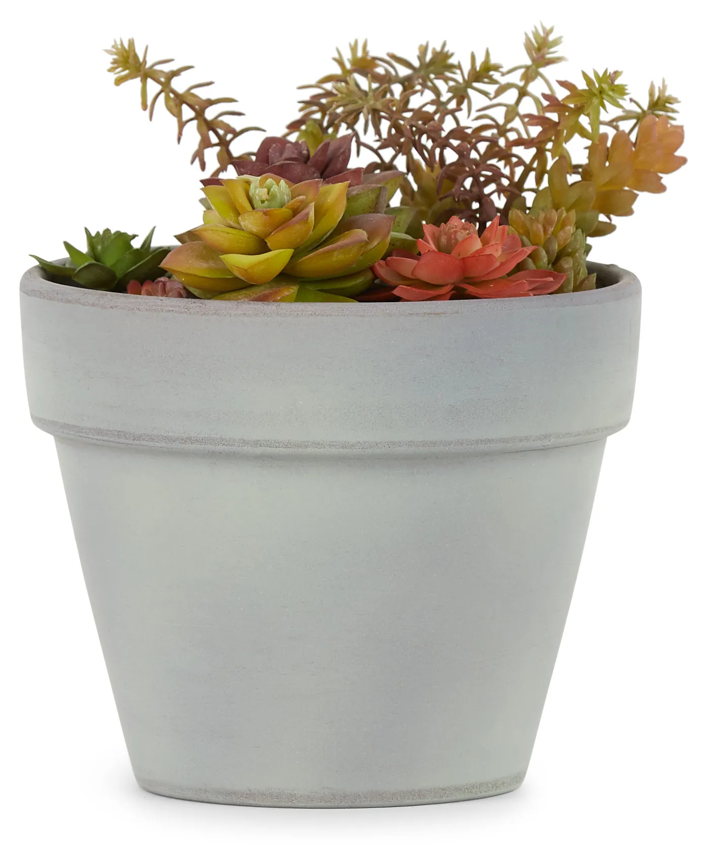 Rosette Multicolored Cement Succulent