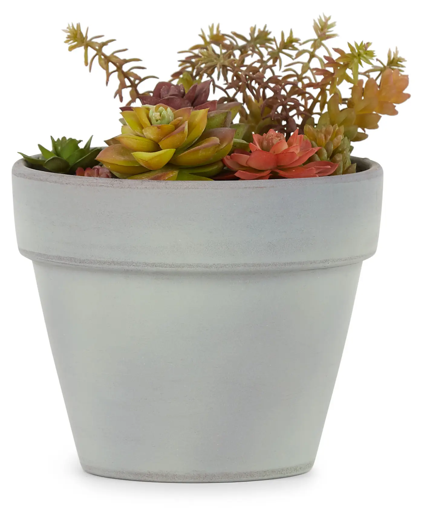 Rosette Multicolored Cement Succulent Rosette Multicolored Cement Succulent