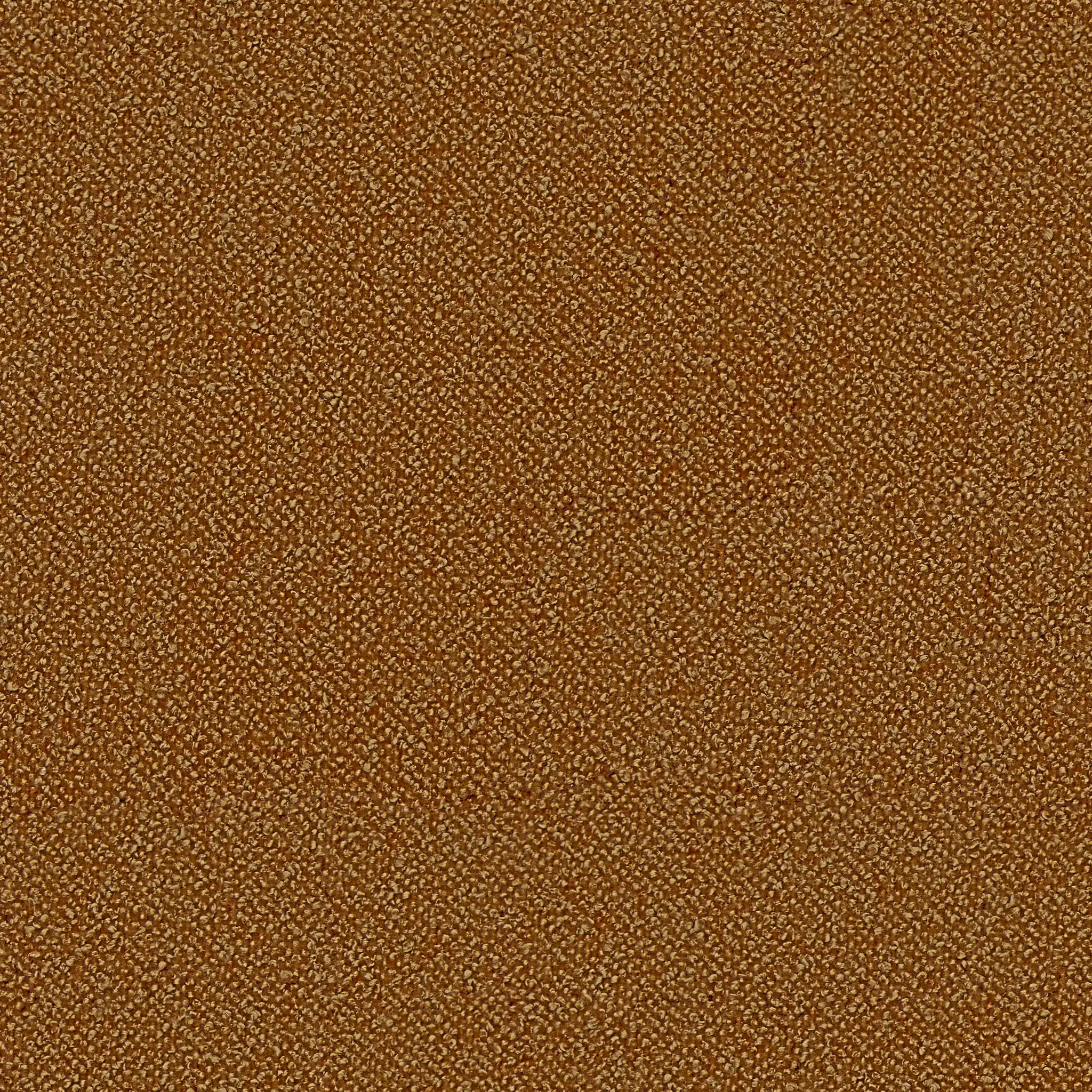 Captiva Elite Light Brown 60" Upholstered Shelter Bed Captiva Elite Light Brown 60" Upholstered Shelter Bed