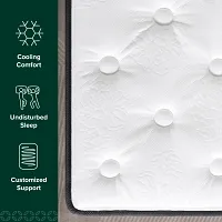 Rest & Renew By Zinus Pocket Innerspring 14" Pillow Top Mattress