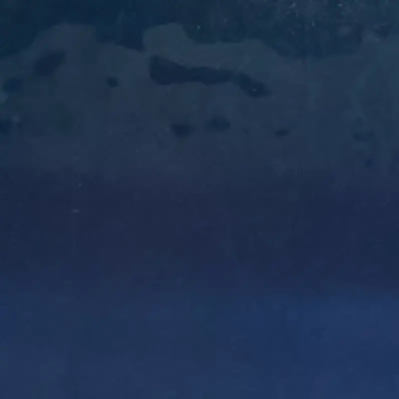 Dark Blue Dark Blue