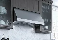 Xo Appliance 42 Series Stainless Steel 42" Undercabinet Vent Hood