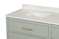 Alden Green 60" Double Bathroom Vanity