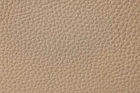 Rhett Taupe Micro Reclining Sofa