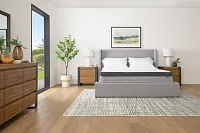 Rest & Renew By Zinus Pocket Innerspring 14" Pillow Top Mattress