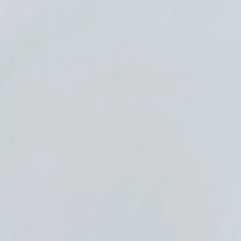 White White