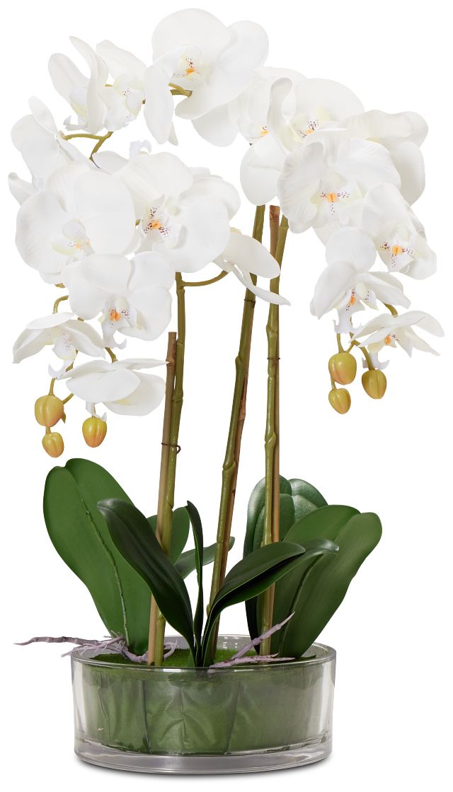 Potted Glass 22" Orchid