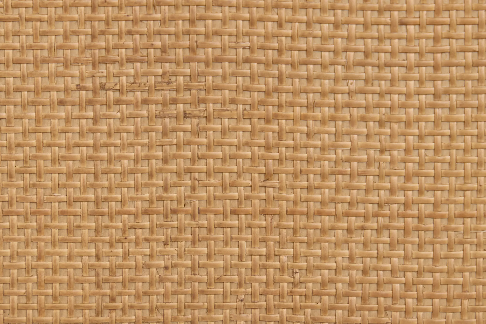 Pacific Two-tone 60" Double Bathroom Vanity