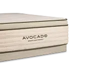 Avocado Green Cushion Firm Low-profile Mattress Set