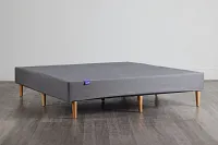 The Purple Gray Foundation