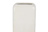 Rowi Ivory Medium Vase