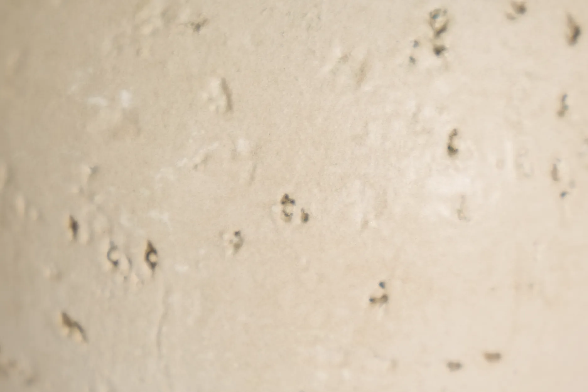 Shiver Beige Small Sculpture