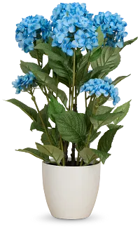 Hyrangea 2' Floral Arrangement
