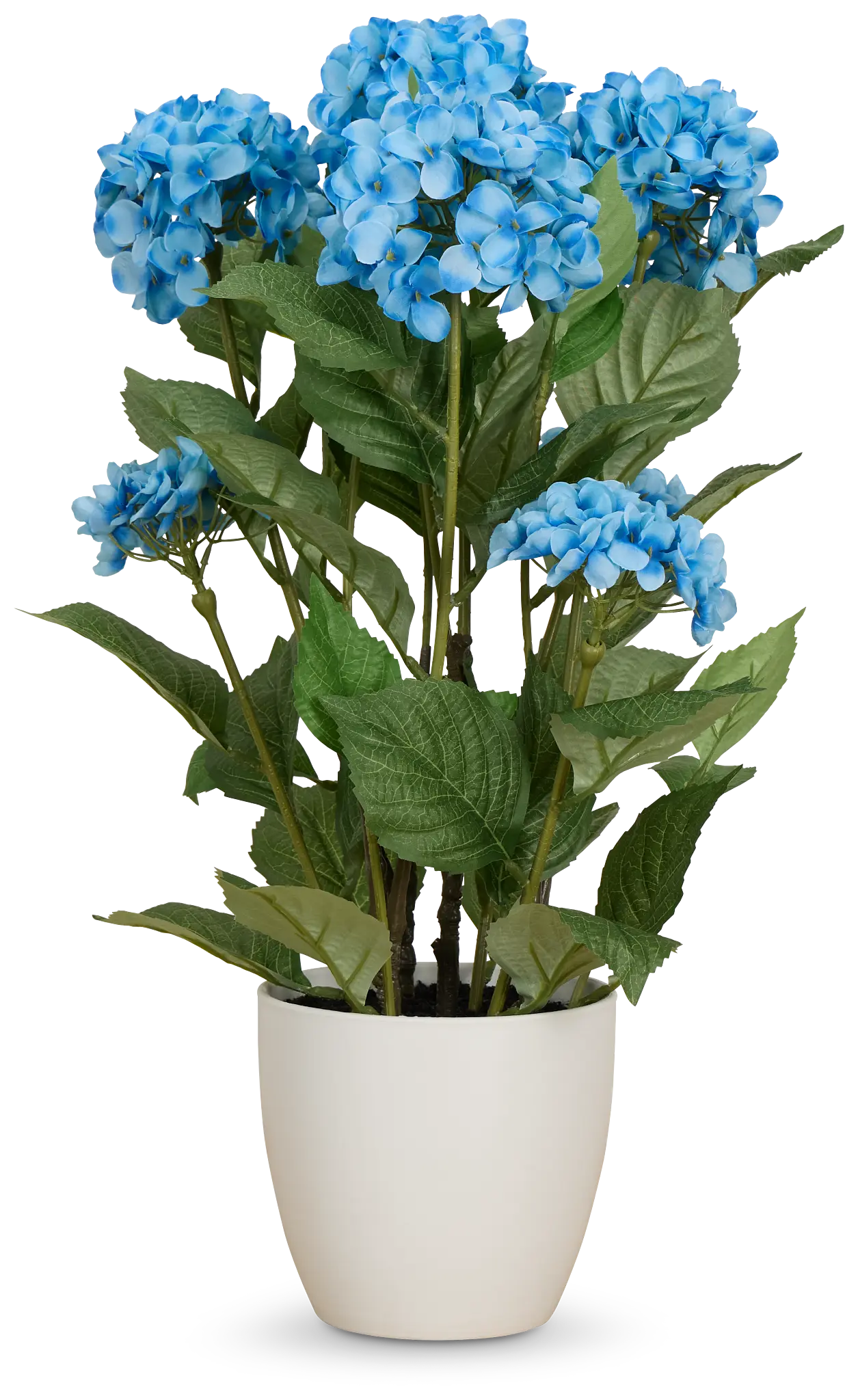 Hyrangea 2' Floral Arrangement Hyrangea 2' Floral Arrangement