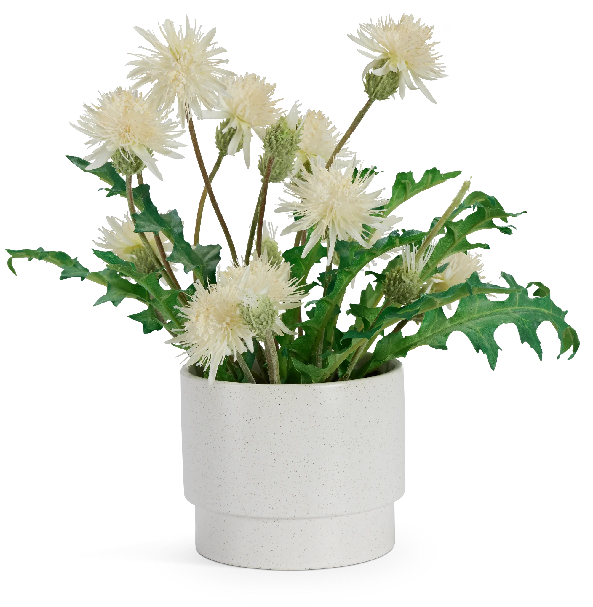 Thistle 14" Greenery