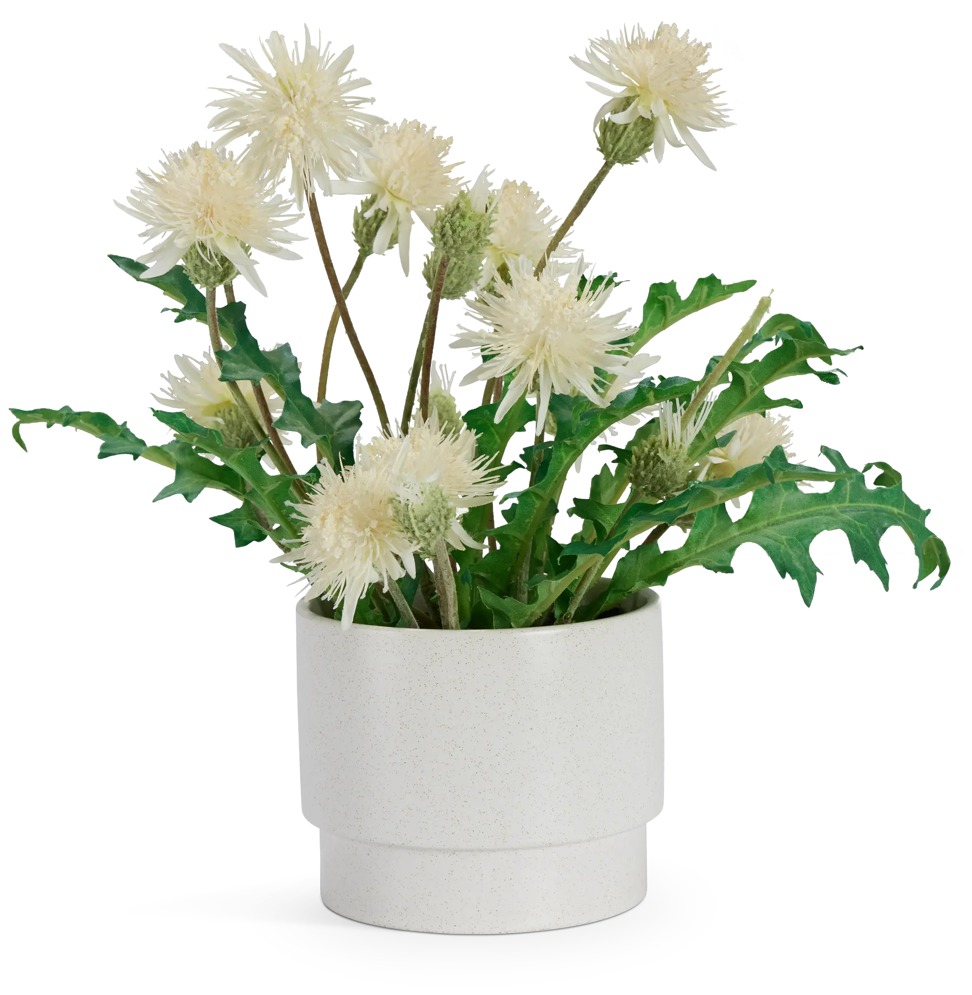 Thistle 14" Greenery Thistle 14" Greenery