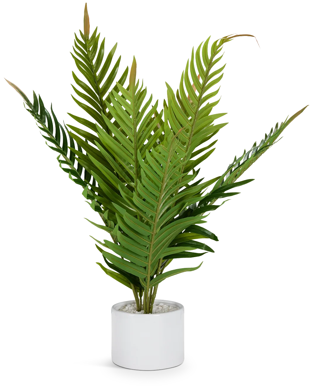 Fern Plant 24" Greenery