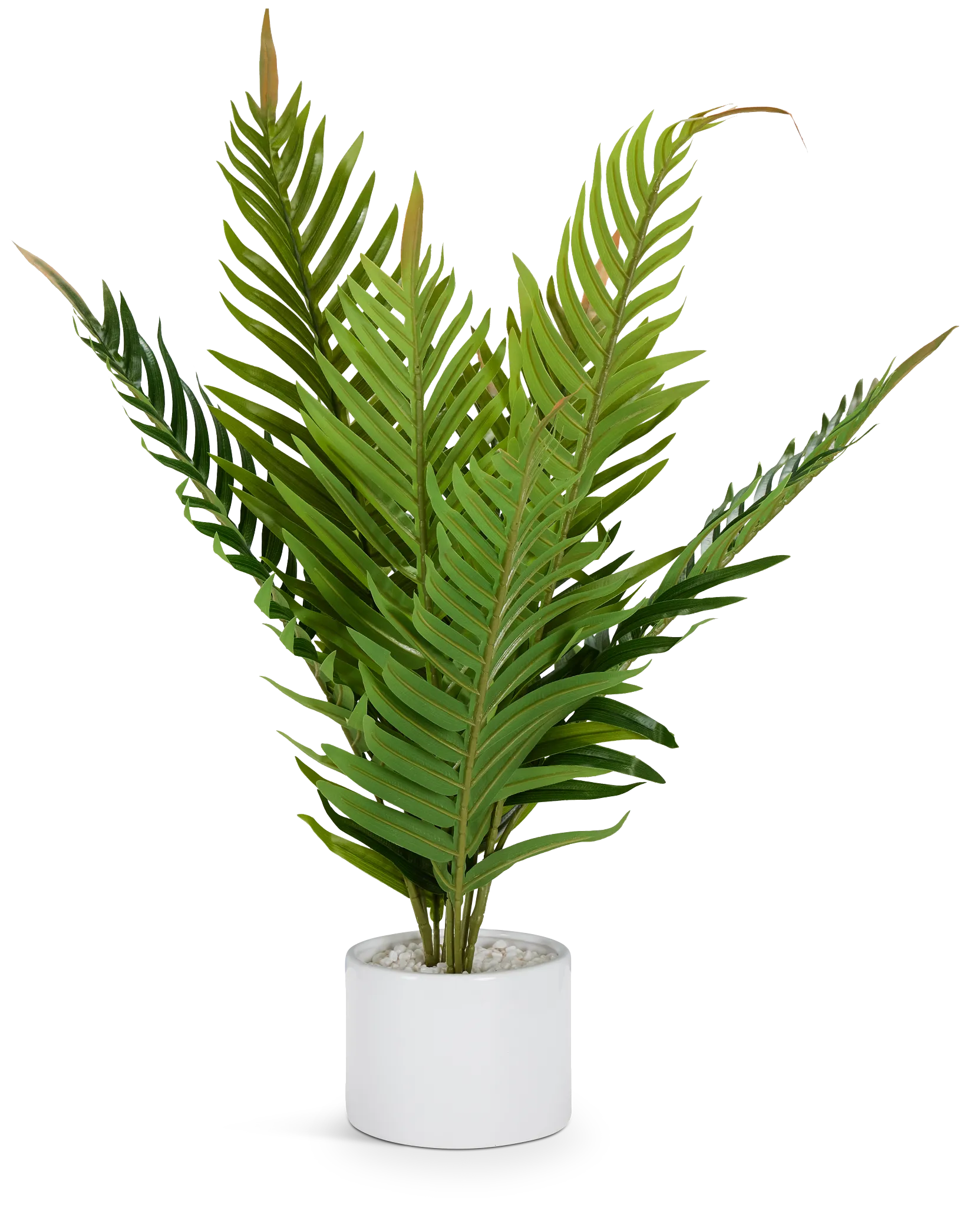 Fern Plant 24" Greenery