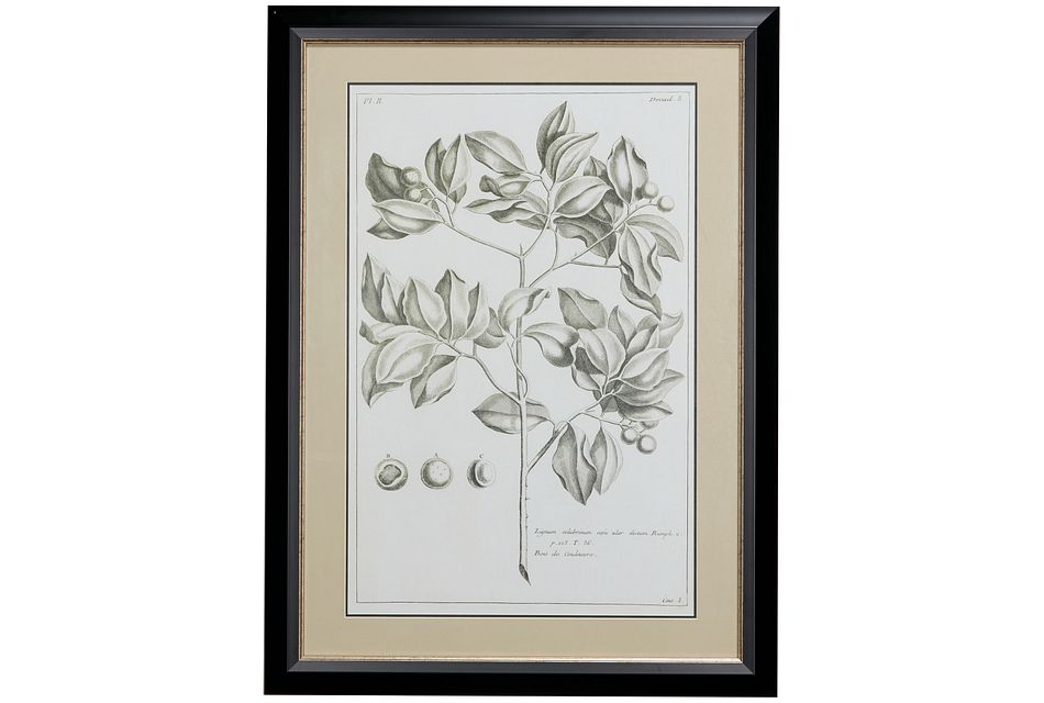 Meadow Gray Framed Wall Art