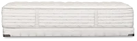Aireloom Timeless Odyssey Streamline 14" Extra Firm Mattress