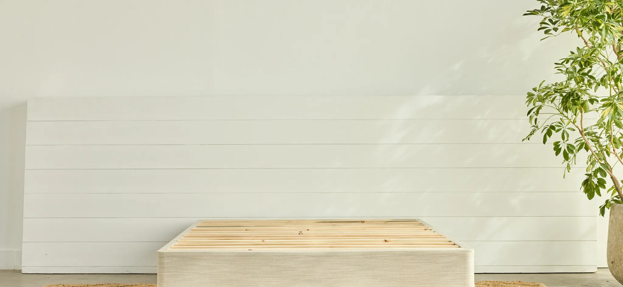 Shop Avocado Foundation