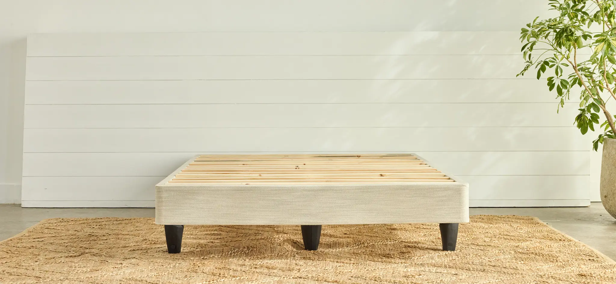 Shop Avocado Foundation Shop Avocado Foundation