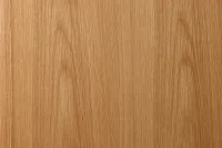 Kayden Light Tone Two-door Cabinet