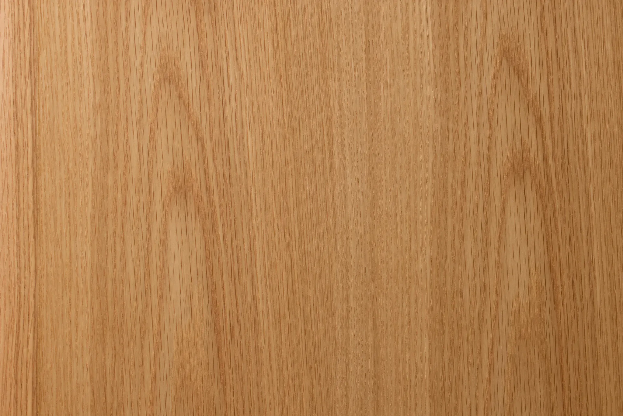 Kayden Light Tone Two-door Cabinet