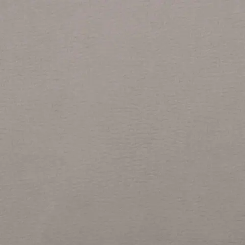 Light Gray Light Gray