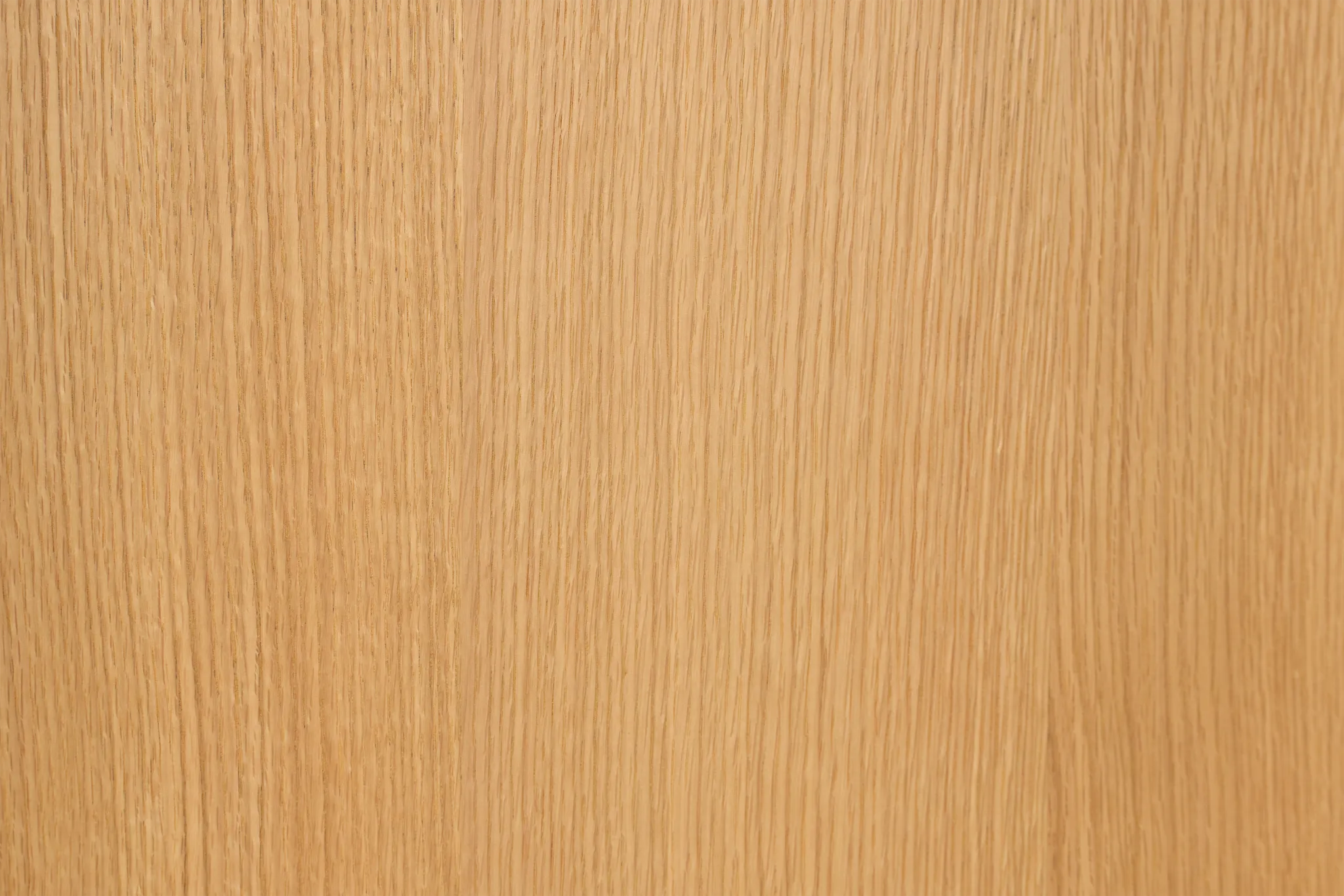 Nomad Light Tone Shelter Bed