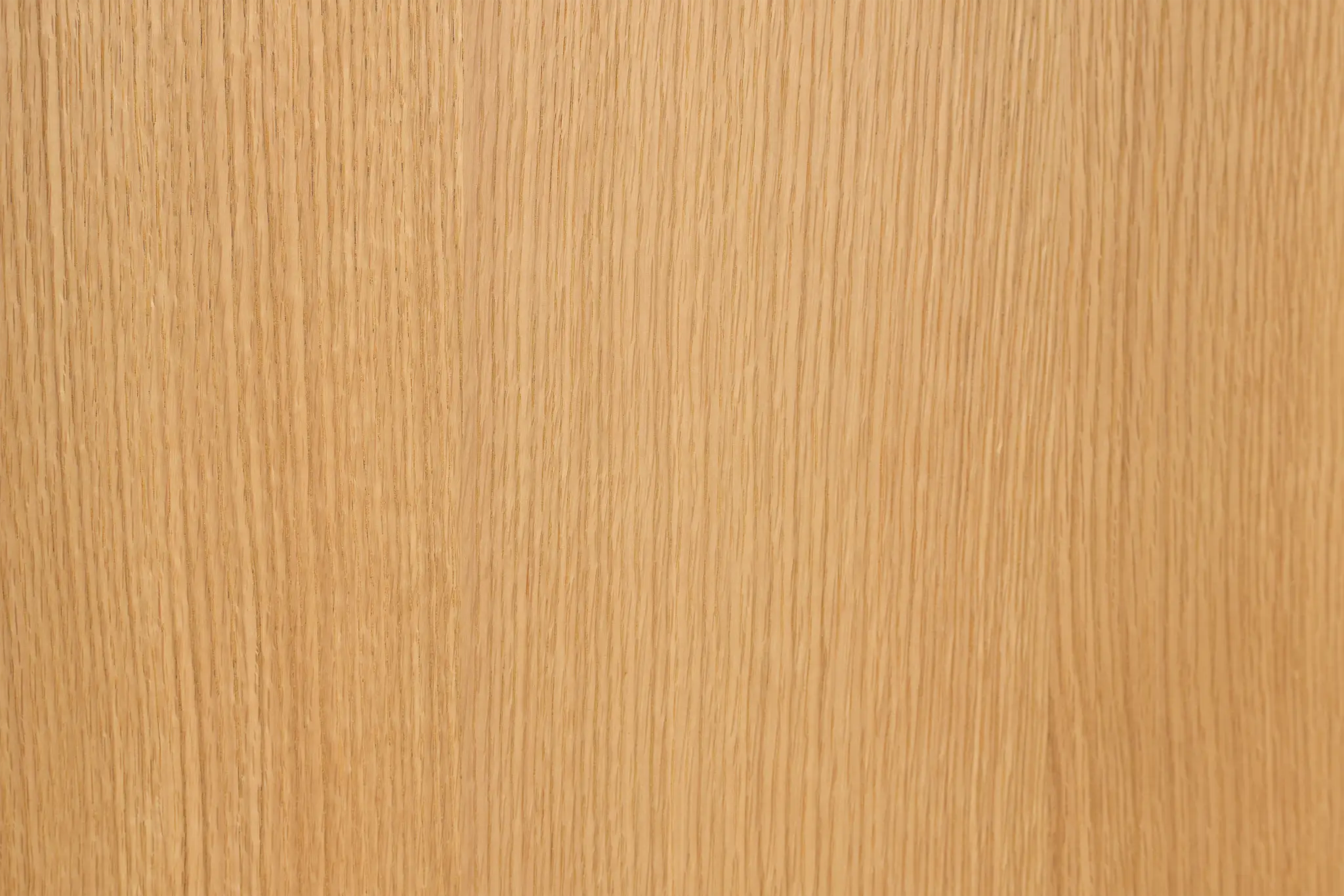 Nomad Light Tone Shelter Bed Nomad Light Tone Shelter Bed