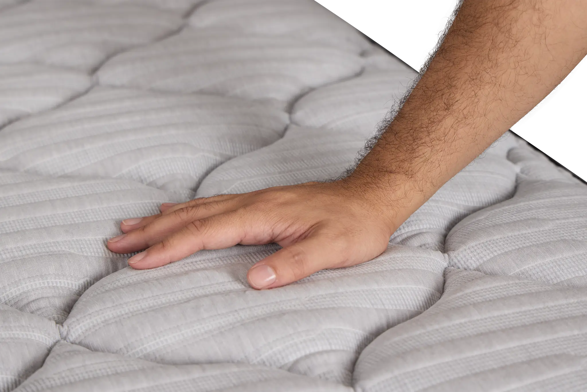 Kevin Charles By Sealy Essential Plush Low-profile Mattress Set Kevin Charles By Sealy Essential Plush Low-profile Mattress Set