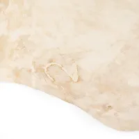 Hide Light Brown 5x7 Area Rug