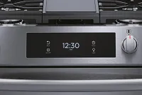 Frigidaire 3060 Series Black Stnl Steel Gas Range