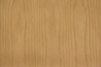 Remi Mid Tone Wood Tray