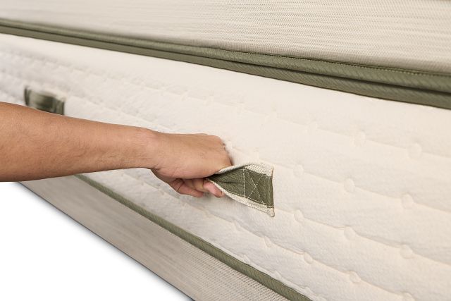 Avocado Green 15.50" Plush Box Top Mattress