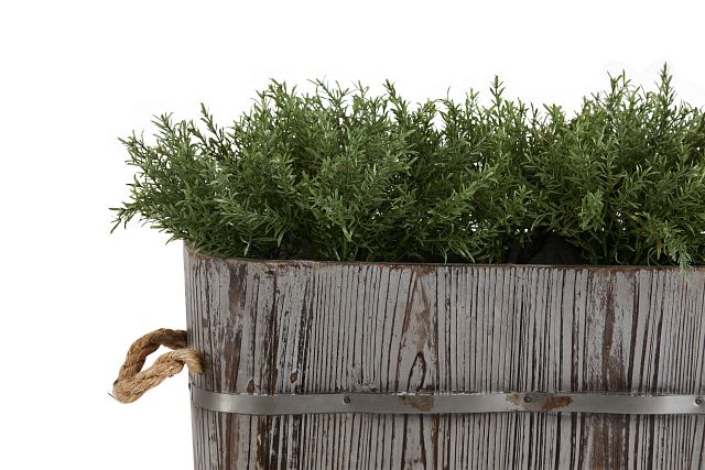 Rosemary Greenery