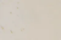 Neith White Stone Accent Table