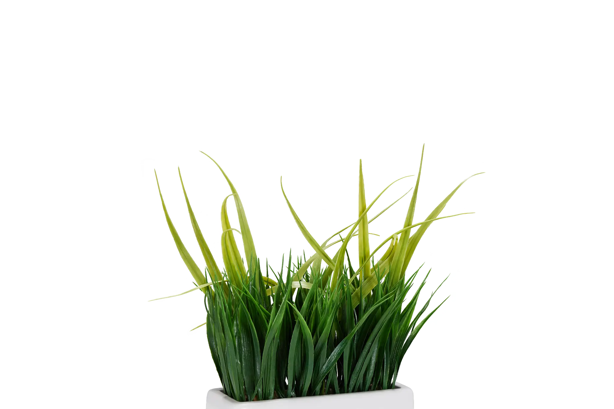 Bonsai 14" Greenery Bonsai 14" Greenery