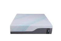 Rest & Renew Performance 12.5" Firm Memory Foam Mattress