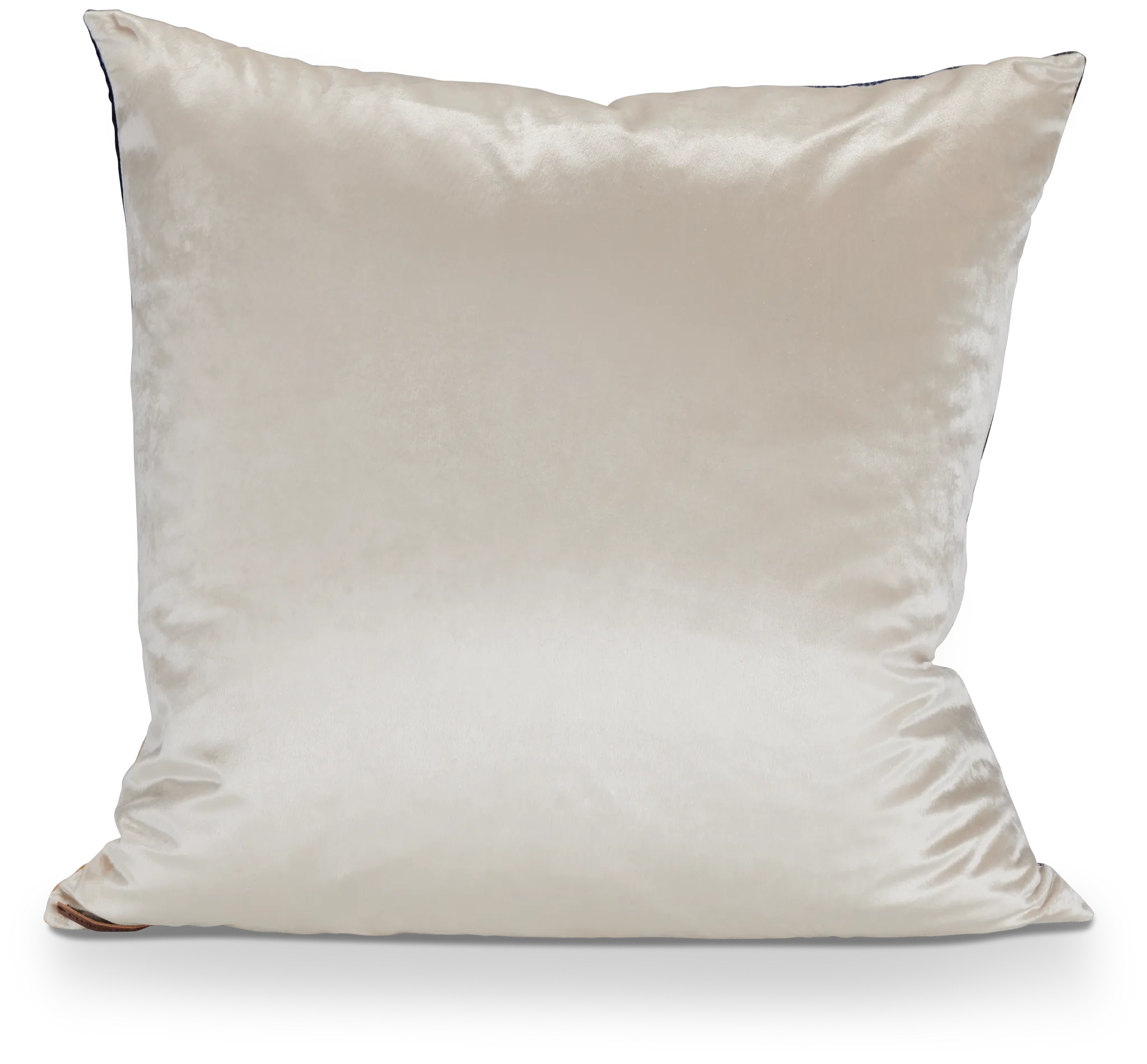 Lily Blue 22" Square Accent Pillow