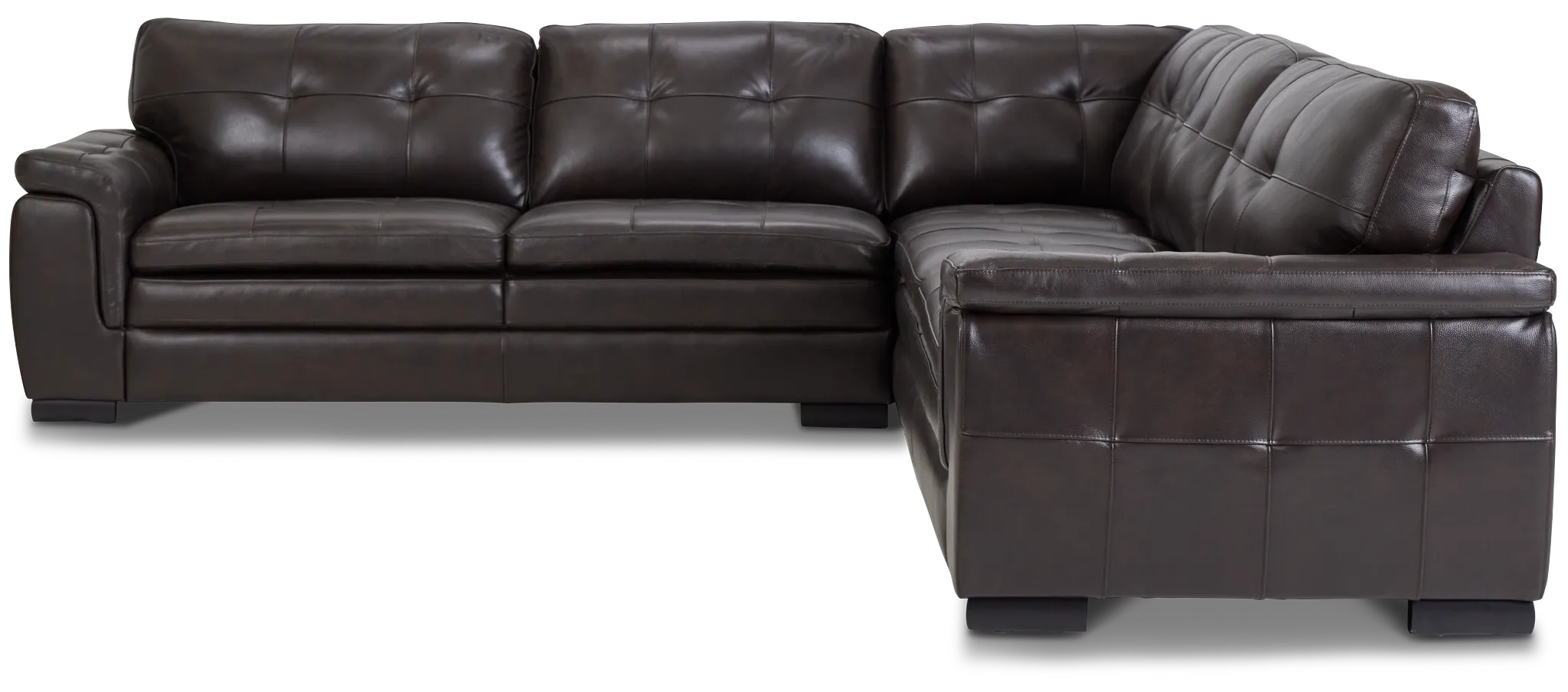 Braden Dark Brown Leather Small Two-arm Sectional