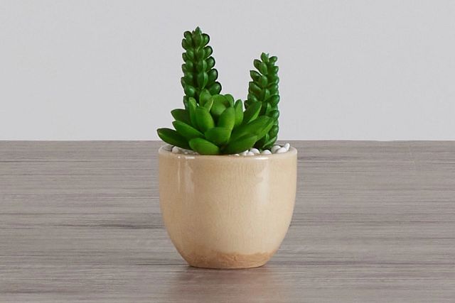 Desert Plant 6.5" Succulent