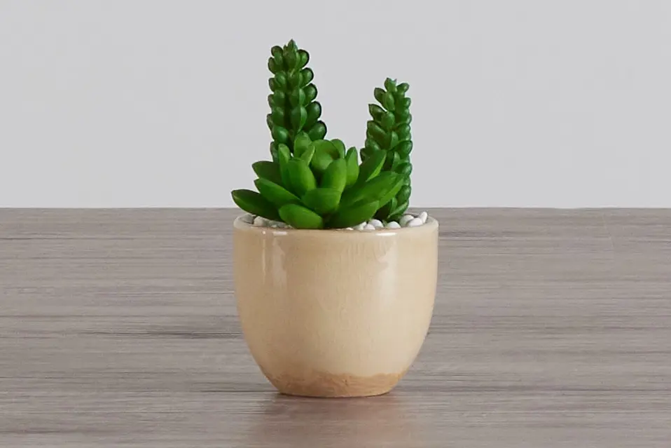 Desert Plant 6.5" Succulent Desert Plant 6.5" Succulent