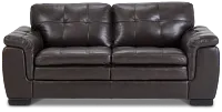 Braden Dark Brown Leather Loveseat