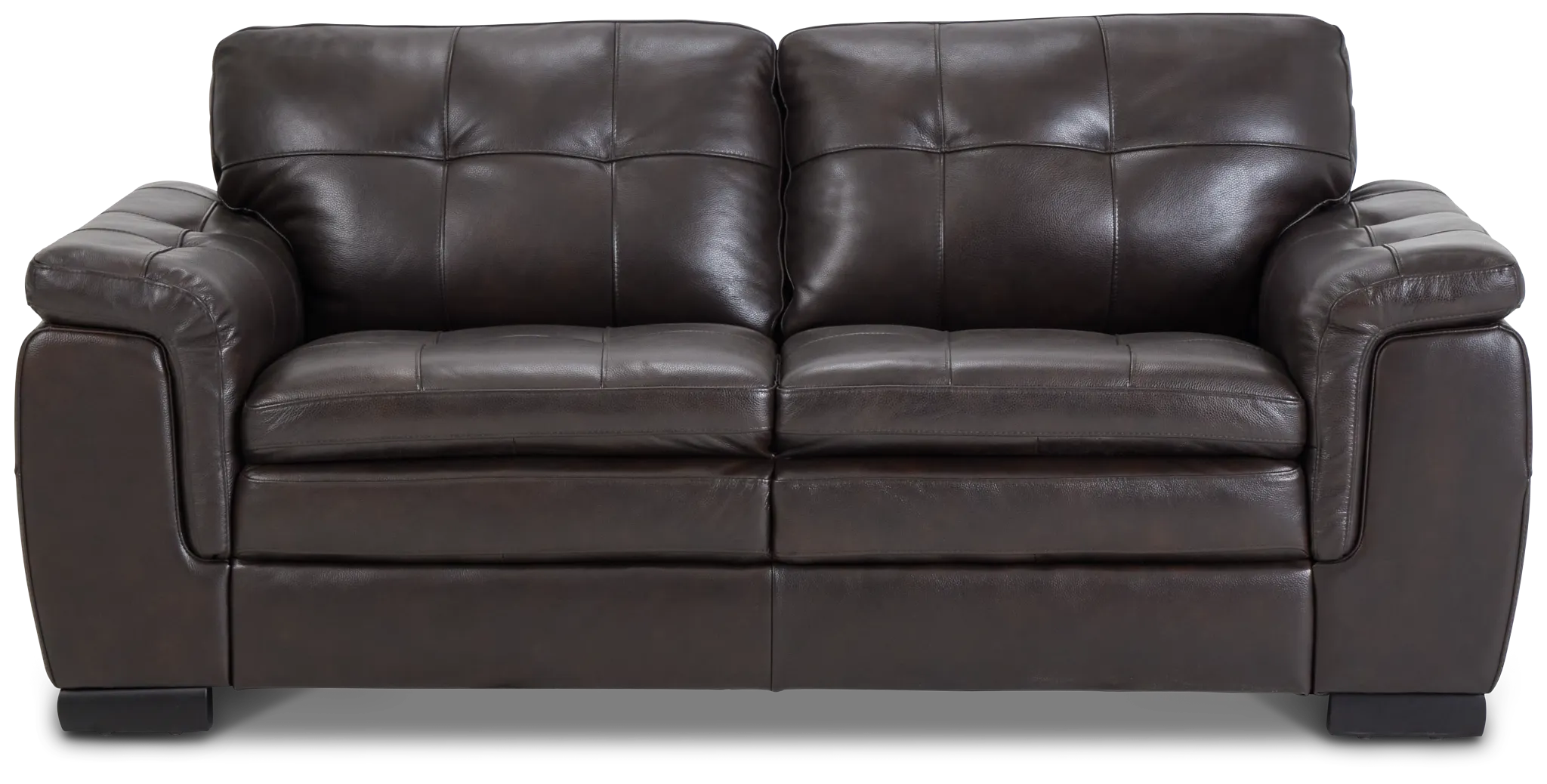 Braden Dark Brown Leather Loveseat