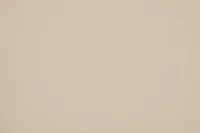 Sienna Beige Lthr/vinyl Upholstered Side Chair