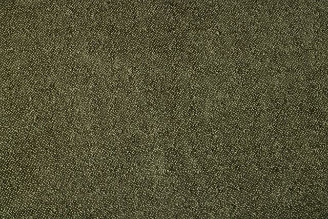Lynden Green Woven Upholstered Side Chair