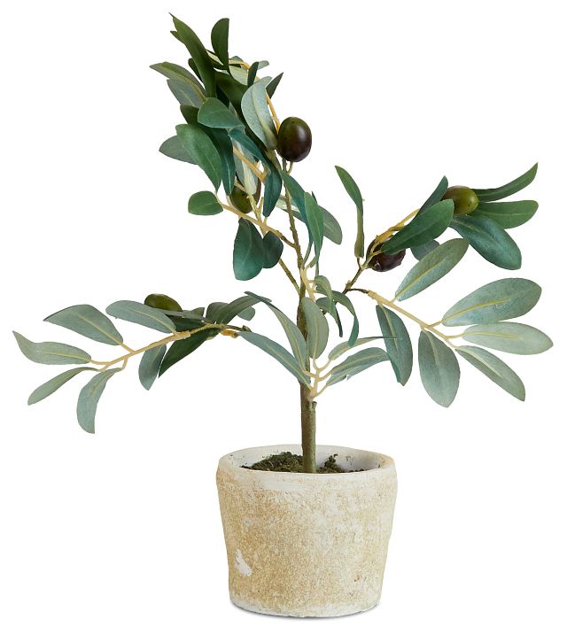 Jolly 12" Olive Tree (1)
